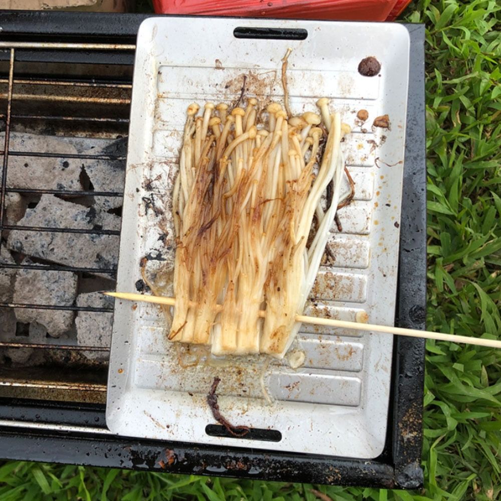 Durable Titanium Camping Grill - Camping Cooking Lightweight recension och pris