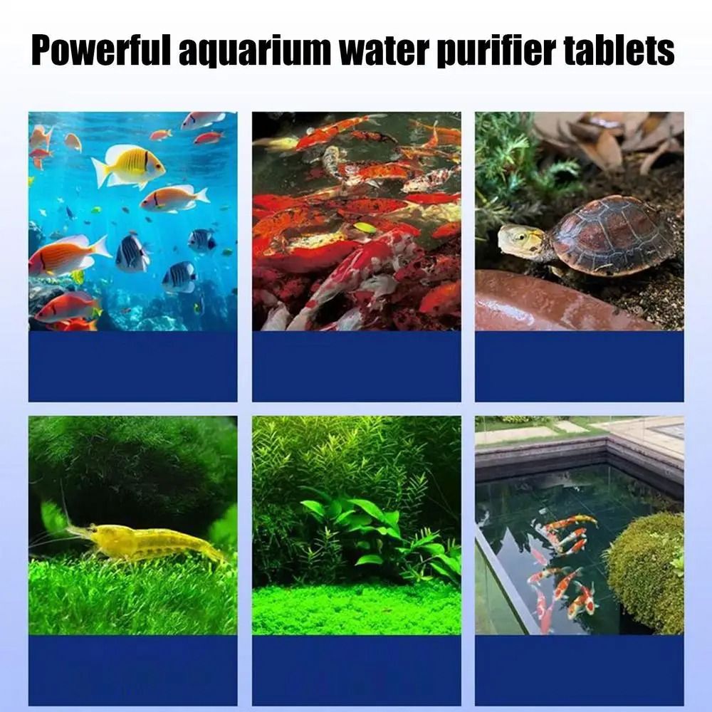 Powerful Water Purification Ta - Water Purification Tablet recension och pris